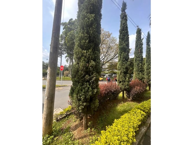 Local en venta en Nueva Tequendama, Cali, 52 m² · foto 20 de 23
