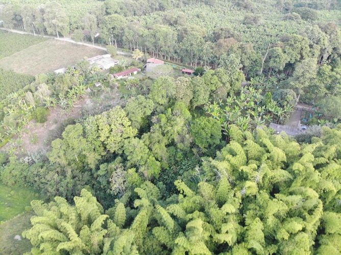 Lote en venta en Puerto Espejo, Armenia · foto 3 de 9