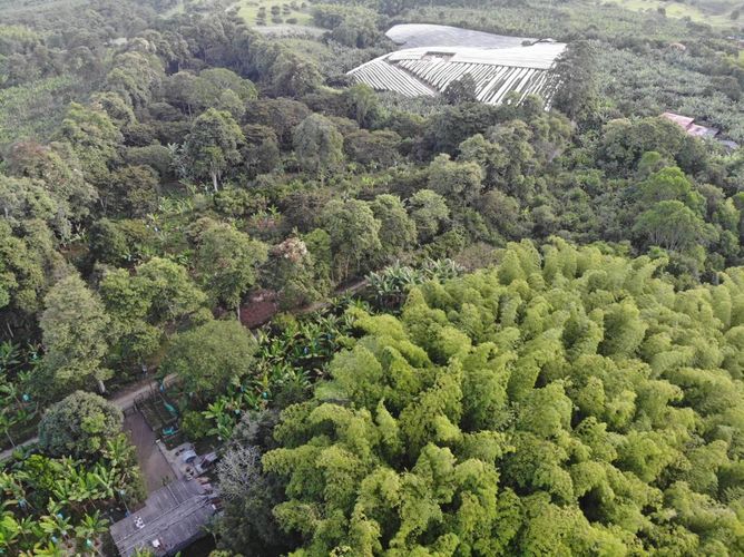 Lote en venta en Puerto Espejo, Armenia · foto 5 de 9