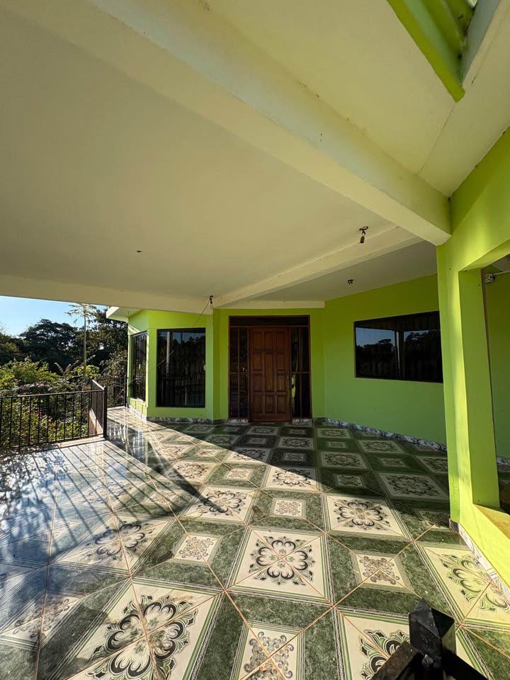 ? ¡PROPIEDAD EN VENTA! 12,5 HECTÁREAS CON CASA MODERNA ? — foto 3