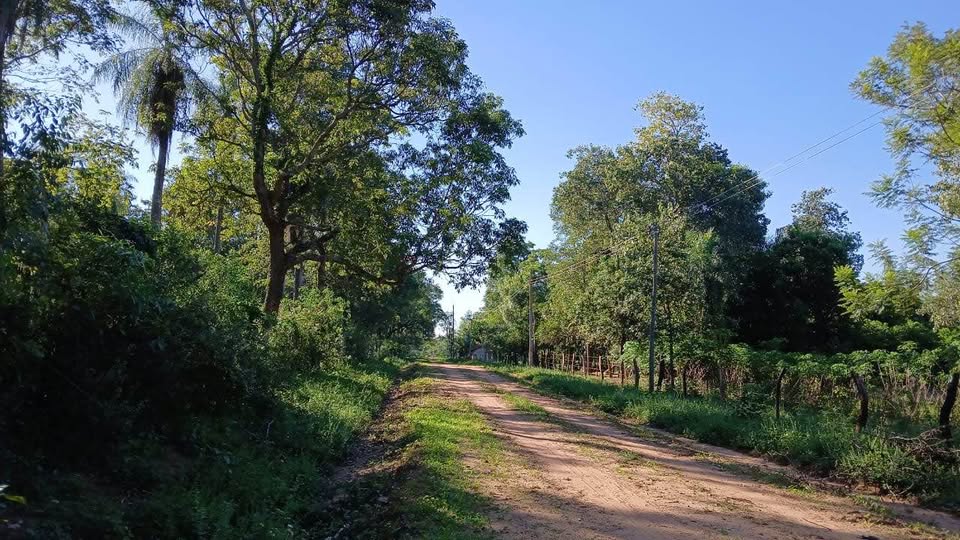 Campo en venta en Loma Grande — foto 3