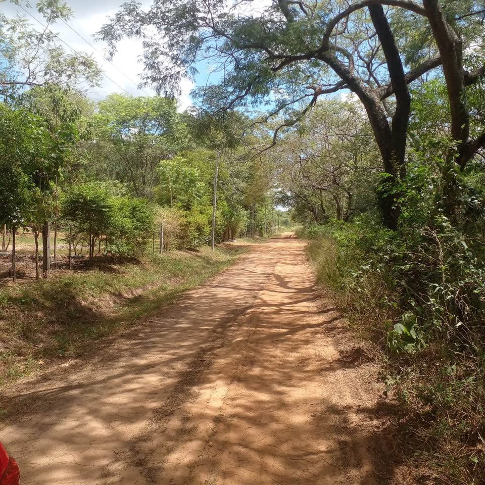 Campo en venta en Loma Grande — foto 3