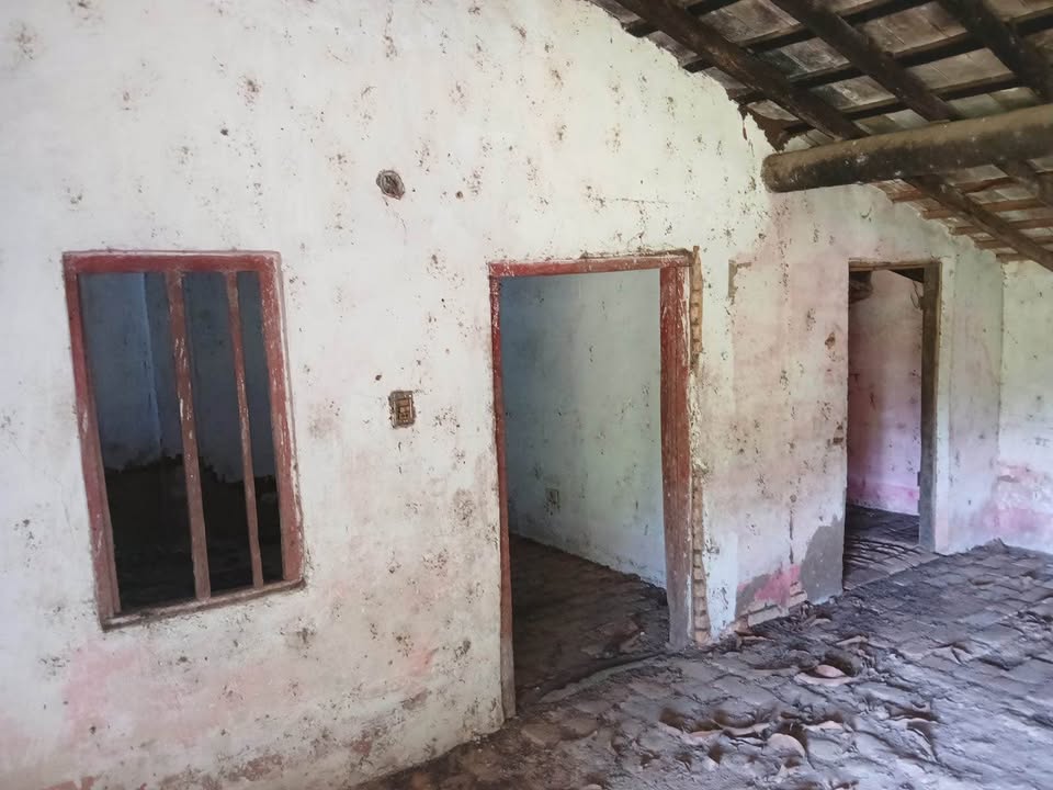 VENDO PROPIEDAD CON ARROYO DE 4 HAS EN YAGUARON — foto 3