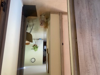 Apartamento en venta en Miramar, Barranquilla · foto 22 de 24