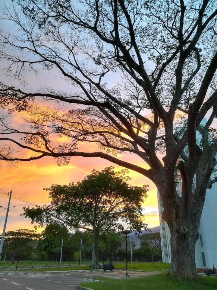 Apartamento en arriendo en Cr. Los Naranjos, Jamundí · foto 24 de 24