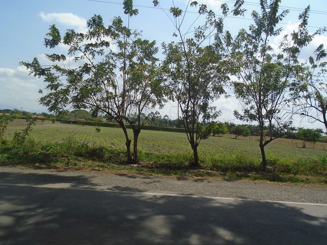 Lote en venta en Rozo, Palmira, 9251 m² · foto 4 de 10