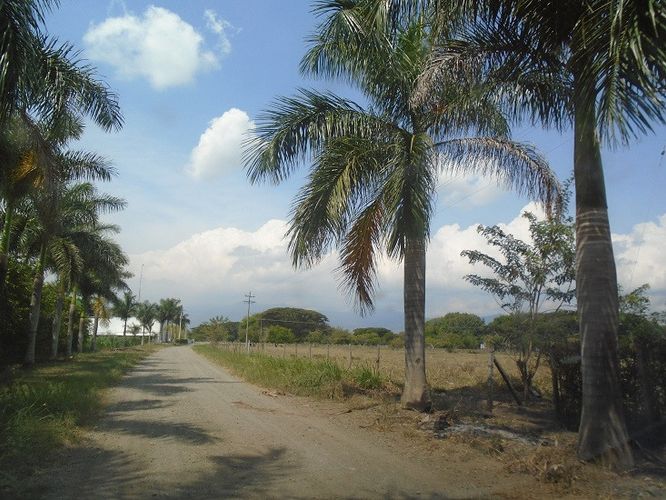 Lote en venta en Rozo, Palmira, 9251 m² · foto 9 de 10