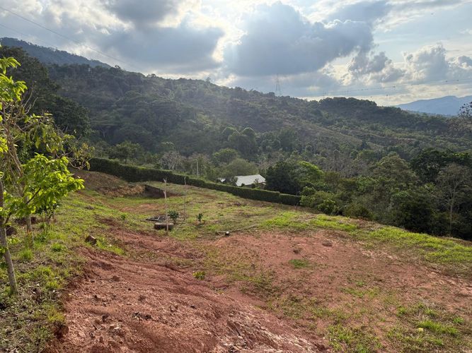 Lote en venta en El Volador, Piedecuesta, 6659 m² · foto 2 de 15