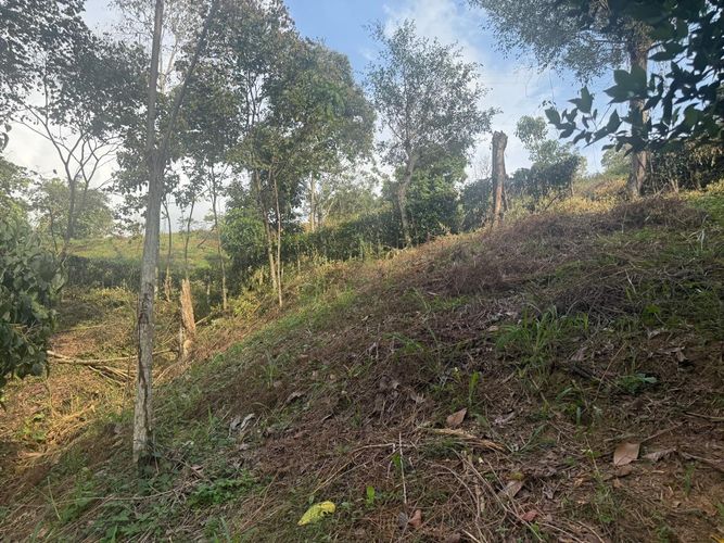 Lote en venta en El Volador, Piedecuesta, 6659 m² · foto 8 de 15