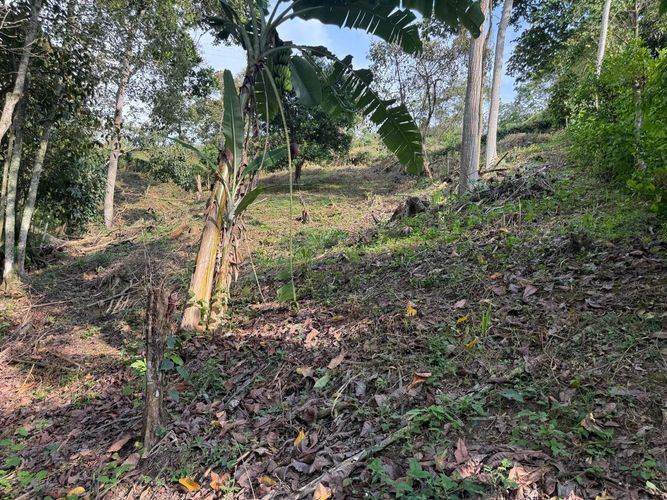 Lote en venta en El Volador, Piedecuesta, 6659 m² · foto 5 de 15