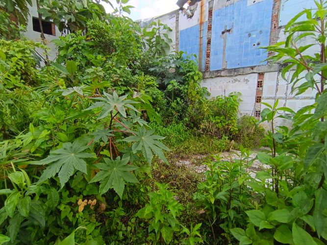 Lote en venta en Fatima, Manizales, 254 m² · foto 3 de 19