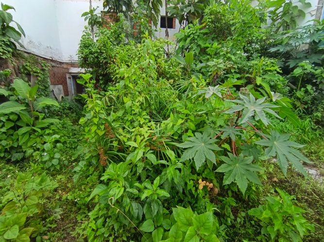 Lote en venta en Fatima, Manizales, 254 m² · foto 4 de 19