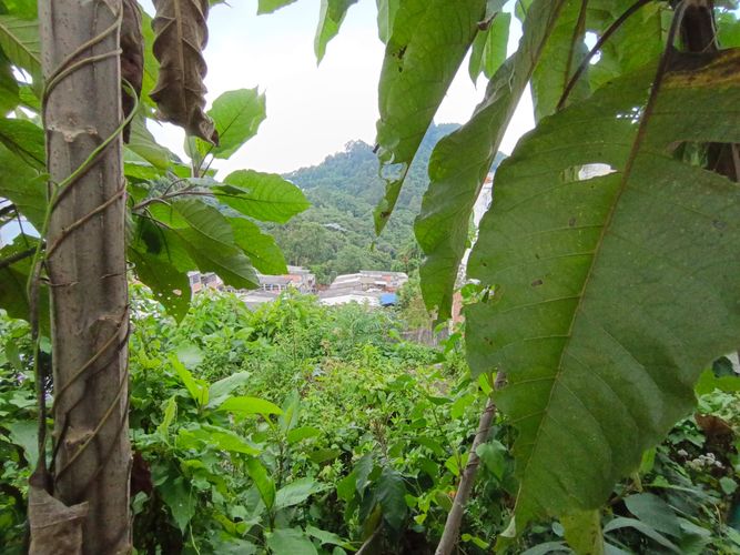 Lote en venta en Fatima, Manizales, 254 m² · foto 5 de 19