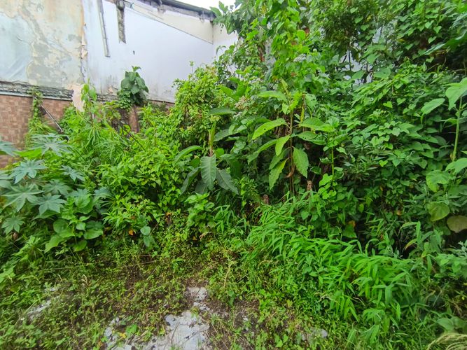 Lote en venta en Fatima, Manizales, 254 m² · foto 6 de 19