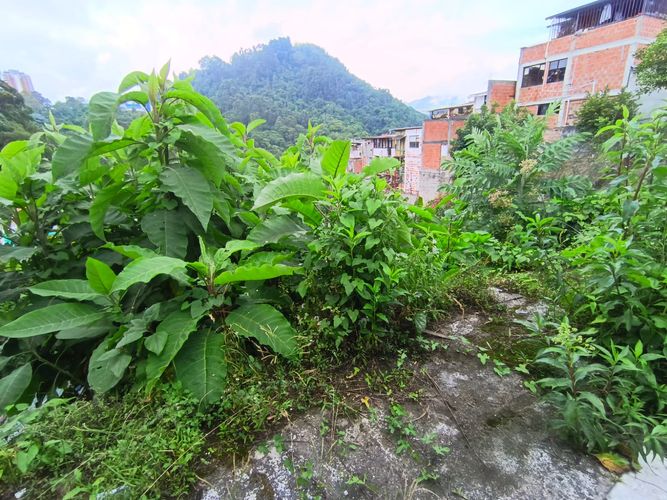 Lote en venta en Fatima, Manizales, 254 m² · foto 7 de 19