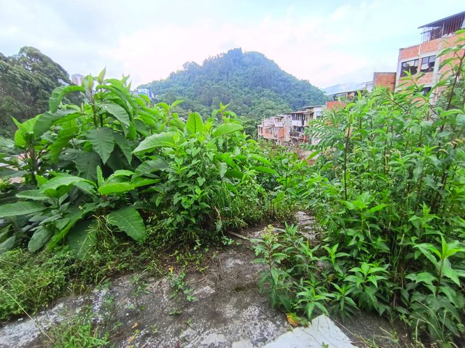 Lote en venta en Fatima, Manizales, 254 m² · foto 8 de 19