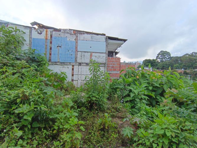 Lote en venta en Fatima, Manizales, 254 m² · foto 10 de 19