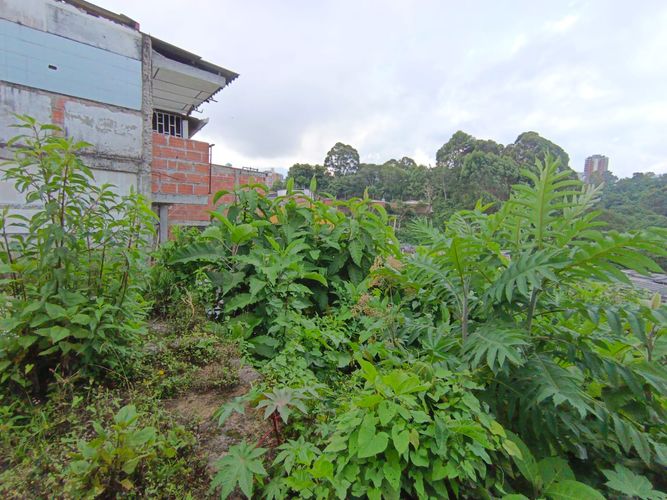 Lote en venta en Fatima, Manizales, 254 m² · foto 11 de 19