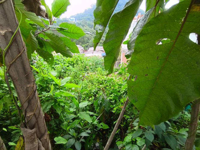 Lote en venta en Fatima, Manizales, 254 m² · foto 19 de 19