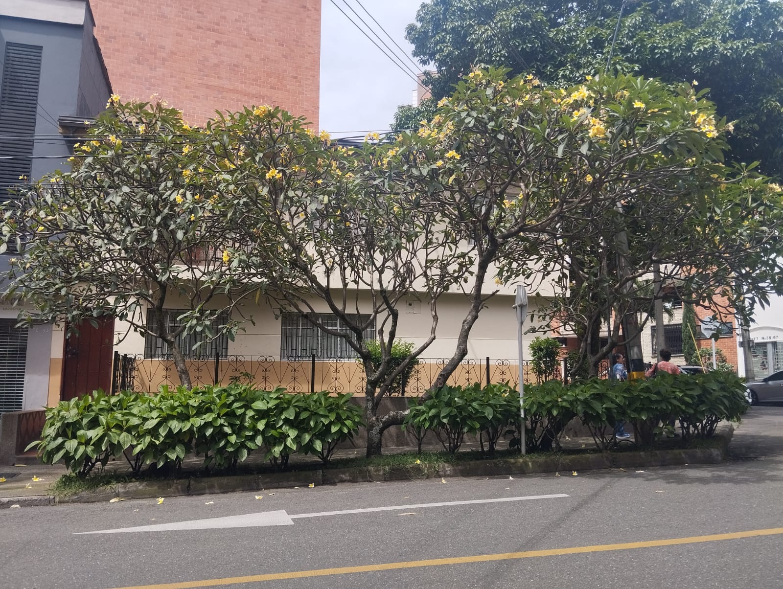Casa en arriendo en Laureles, Medellín · foto 3 de 20