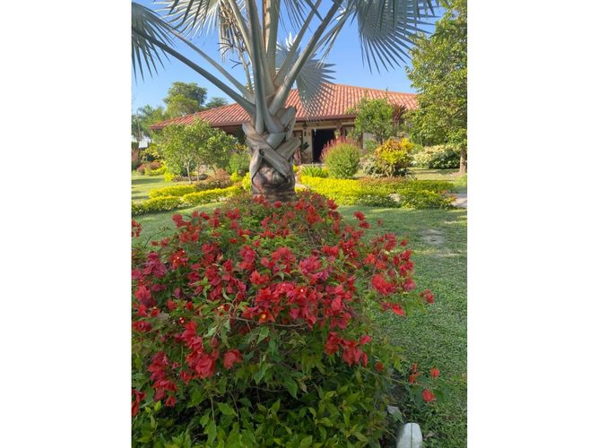 Finca en venta en Rozo, Palmira, 373 m² · foto 24 de 24