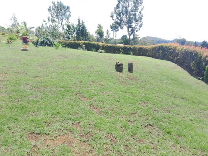Casa de 4 alcobas en arriendo en La Clara, Guarne, 306 m² · foto 8 de 24
