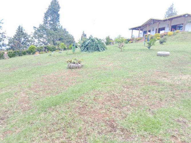 Casa de 4 alcobas en arriendo en La Clara, Guarne, 306 m² · foto 14 de 24