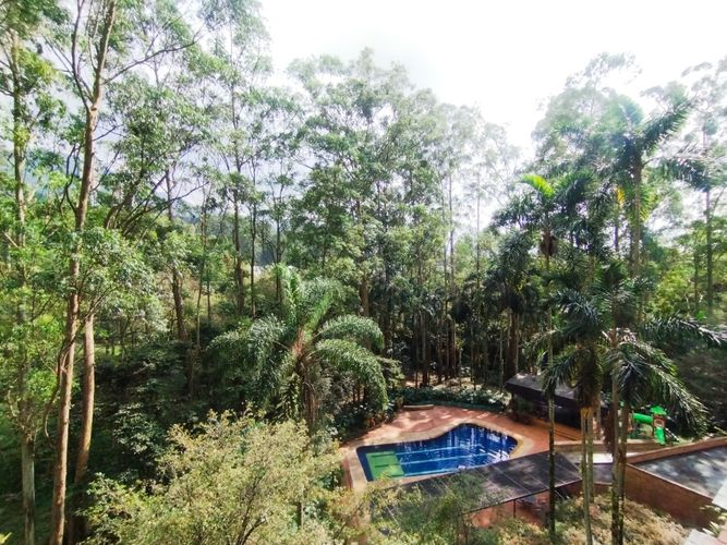 Apartamento de 3 alcobas en arriendo en El Poblado, Medellín, 245 m² · foto 3 de 18