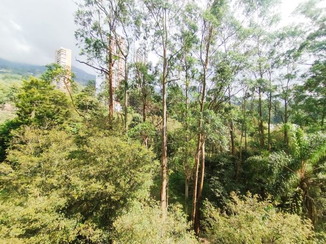 Apartamento de 3 alcobas en arriendo en El Poblado, Medellín, 245 m² · foto 4 de 18