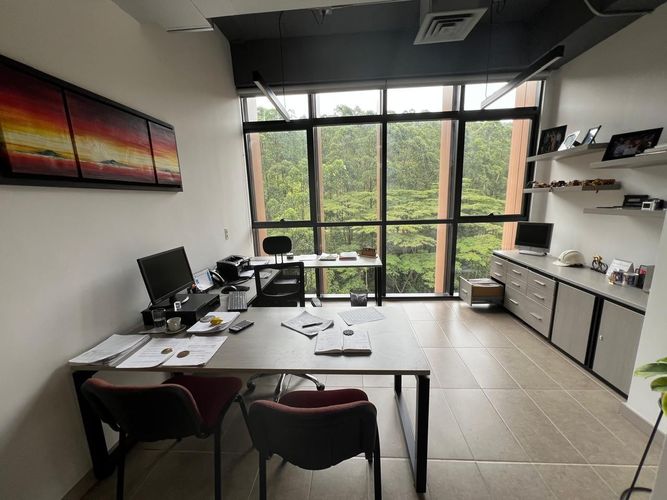 Oficina en arriendo en El Poblado, Medellín, 245 m² · foto 14 de 20