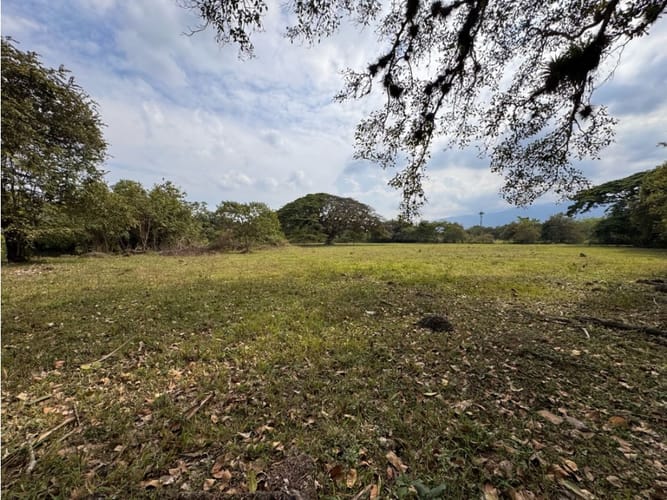 Lote en venta en La Viga, Cali, 20000 m² · foto 8 de 8