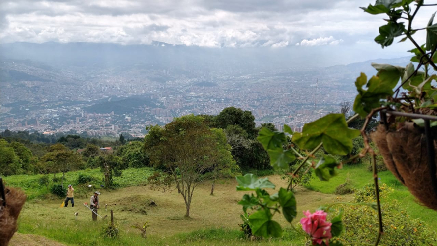 Finca en venta en Granizal, Medellín, 5770 m² · foto 6 de 17