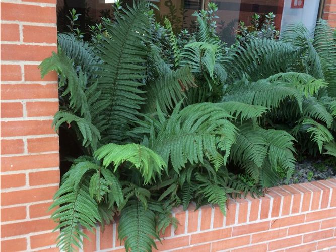 Apartamento de 3 alcobas en venta en Prados De La Sabana, Bogotá, 210 m² · foto 15 de 23