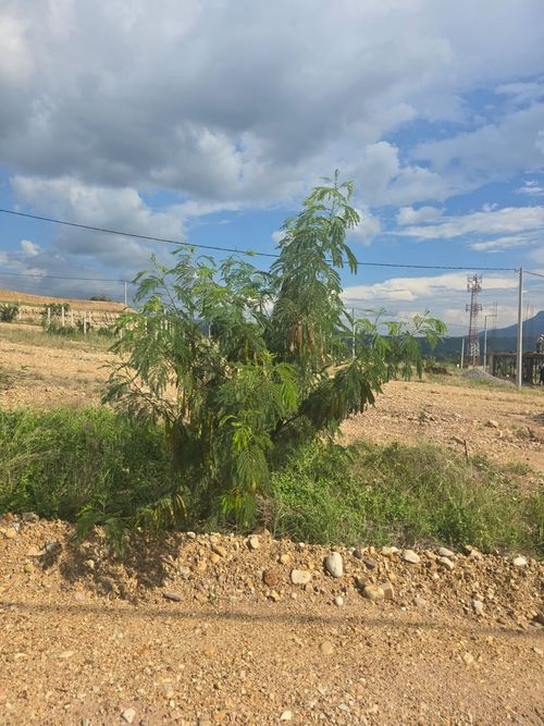 Lote en venta en Ruitoque, Girón, 70 m² · foto 5 de 10