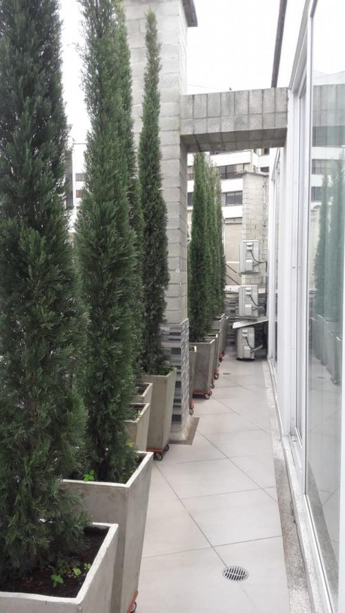 Apartamento en venta en Bellavista, Cali · foto 17 de 24