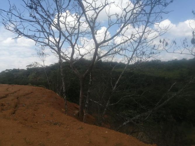 Lote en venta en Pance, Cali, 18000 m² · foto 2 de 8