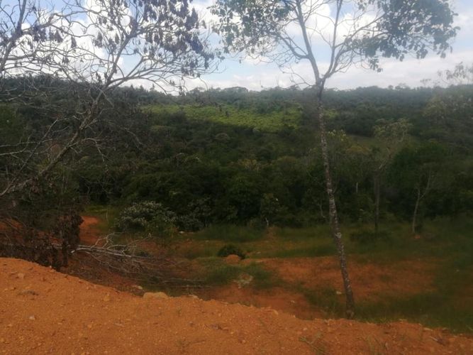 Lote en venta en Pance, Cali, 18000 m² · foto 3 de 8