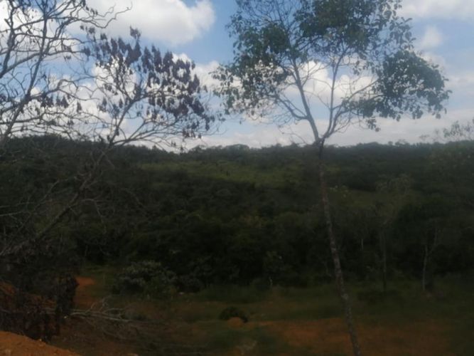 Lote en venta en Pance, Cali, 18000 m² · foto 4 de 8