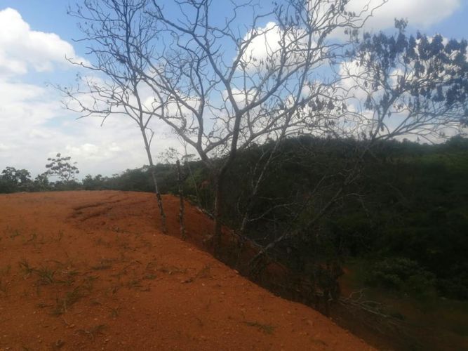 Lote en venta en Pance, Cali, 18000 m² · foto 7 de 8