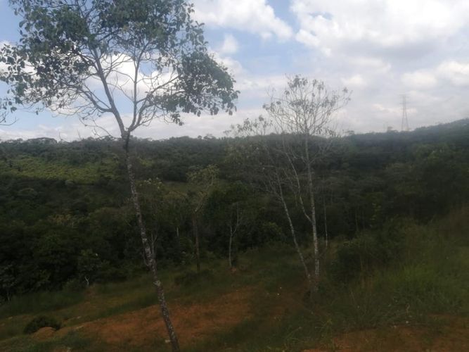 Lote en venta en Pance, Cali, 18000 m² · foto 8 de 8
