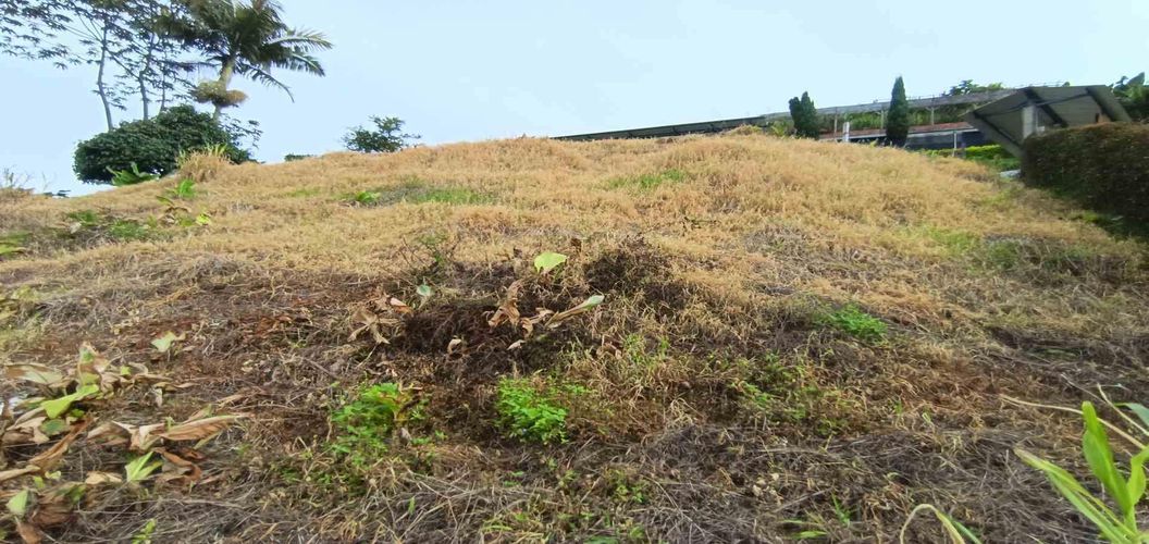 Lote en venta en La Linda, Manizales · foto 19 de 22