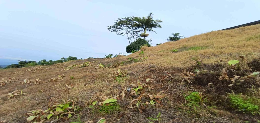 Lote en venta en La Linda, Manizales · foto 20 de 22