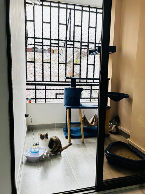 Apartamento en venta en El Ingenio, Cali · foto 16 de 16