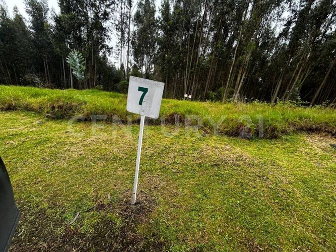 Lote en venta en Tibito, Zipaquirá, 3800 m² · foto 3 de 18