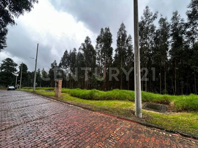 Lote en venta en Tibito, Zipaquirá, 3800 m² · foto 9 de 18