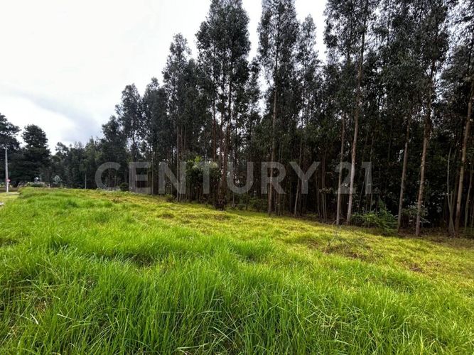 Lote en venta en Tibito, Zipaquirá, 3800 m² · foto 10 de 18