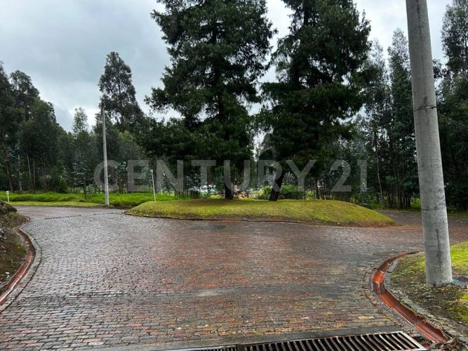 Lote en venta en Tibito, Zipaquirá, 3800 m² · foto 11 de 18