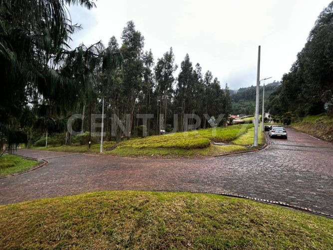 Lote en venta en Tibito, Zipaquirá, 3800 m² · foto 15 de 18