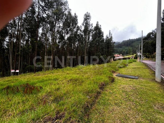 Lote en venta en Tibito, Zipaquirá, 3800 m² · foto 16 de 18