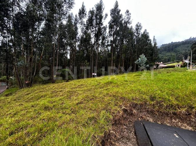 Lote en venta en Tibito, Zipaquirá, 3800 m² · foto 17 de 18
